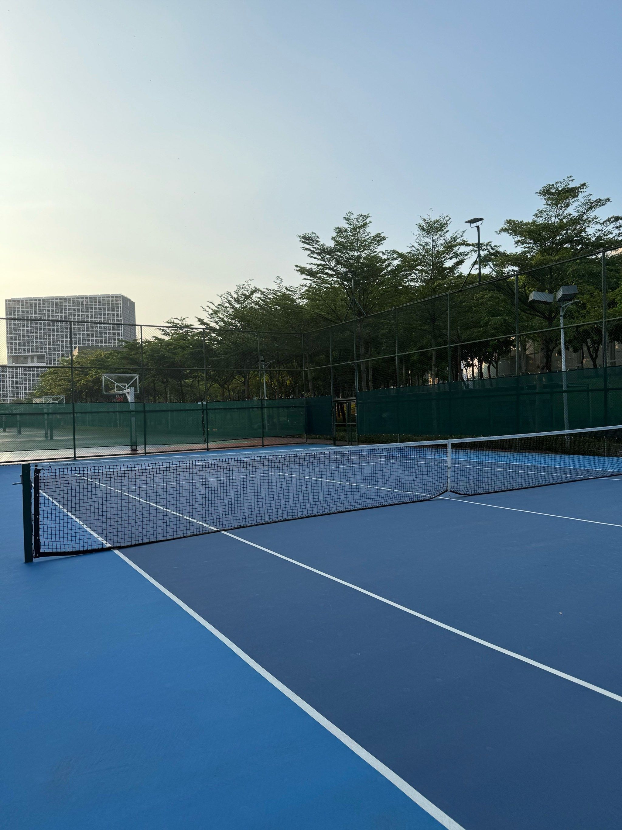 来可能性的 来可能性的